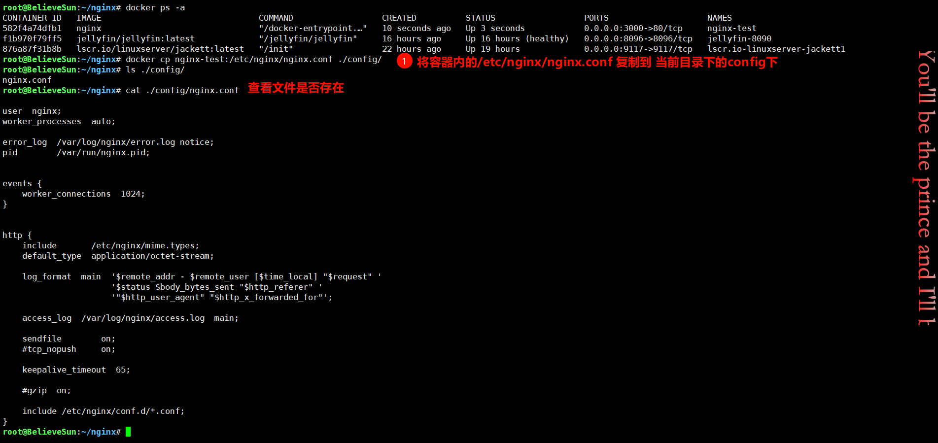 复制容器内的nginx的配置文件.png